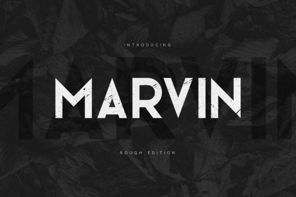 Marvin Typeface for Bold Editorial Design