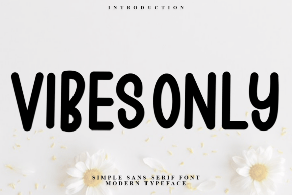 Vibes Only: A Festive Display Font for Web Design